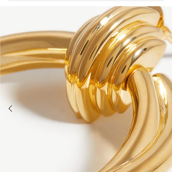 NWOT Missoma 18k gold plated Lucy Williams front facing hoops with box - Picture 2 of 8
